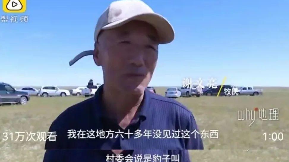 视觉志 明星被扣留17天，释放那天全网欢呼
