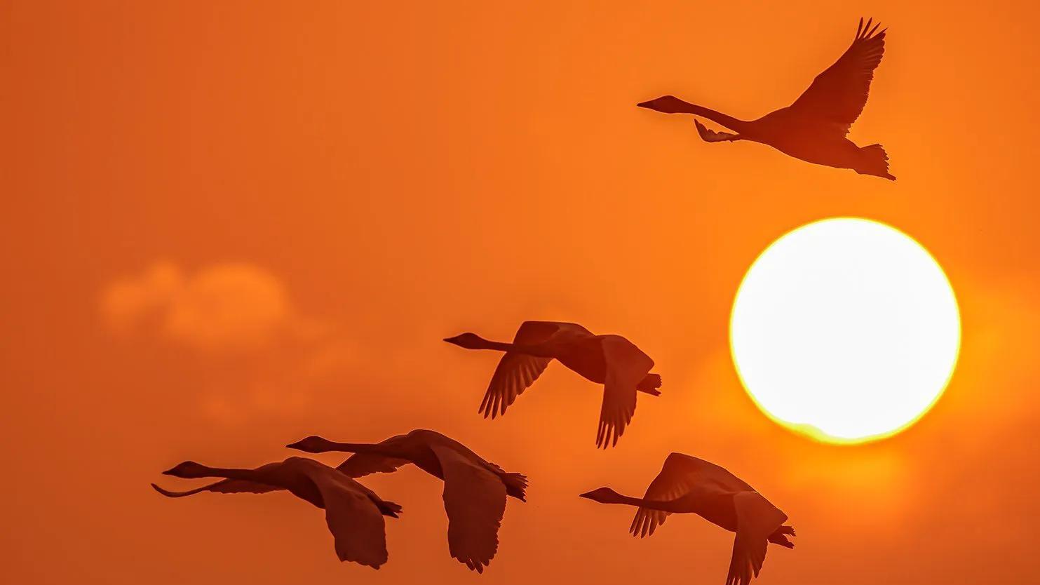 麋鹿才不会mi路 李诞说过什么精辟的话？