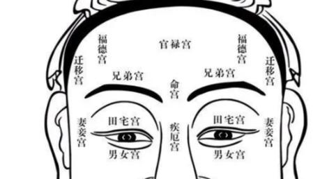 诚然情感之事|财帛宫解析