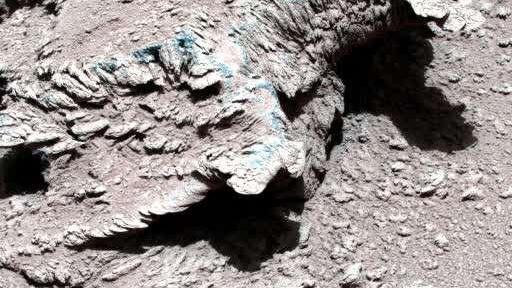火星 祝融号传回新火星图，为何岩石上有像“霉菌”的东西，是真的吗？