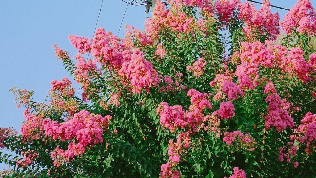 滕小七|《三十岁，一切刚刚开始》：鼓励别人的话，其实都是在鼓励自己