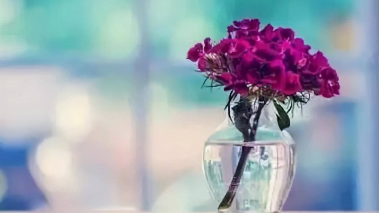 如风轻似云淡|人过五十，别做以下几件“不吉利”的事情，避免晚景凄凉