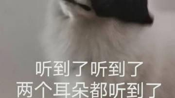 桉月|表情包：减肥算了吧