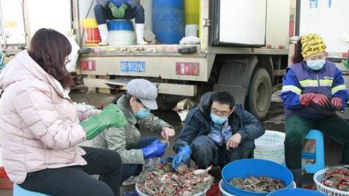 |?初冬烟台海鲜大量上市，价格超低，赶紧备货吧
