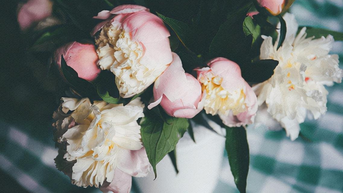 星座师安达 爱孤独，却不自闭的星座，能在外摆平四方，但更喜欢独自一人