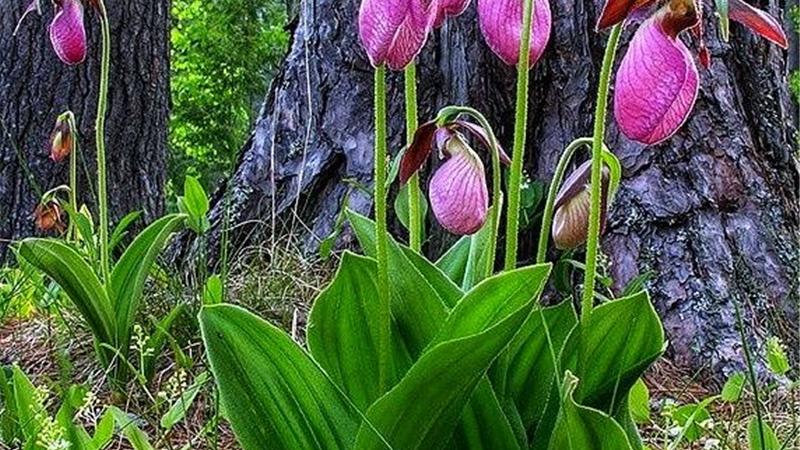 子知鱼|在爱情中像小孩一样可可爱爱的星座，该怎样跟ta谈恋爱？请细品