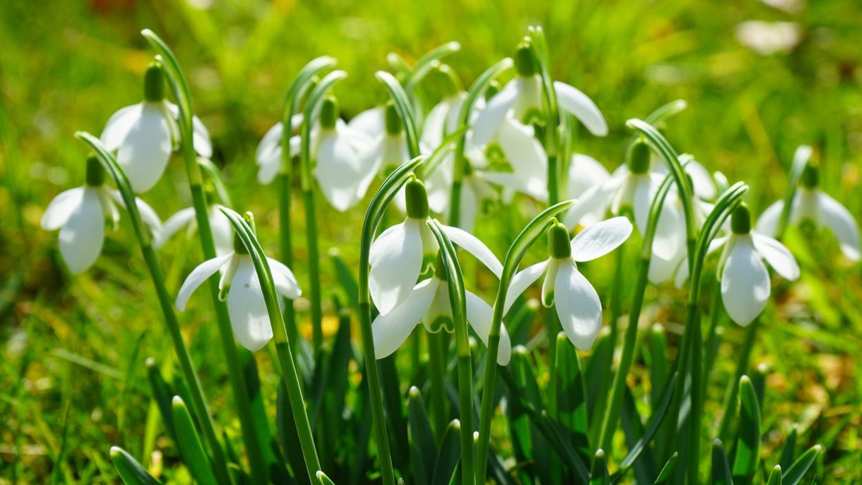 靈月塔羅 靈月塔羅：雙子座10月下半月情感運勢，困住了自己，進入惡性循環