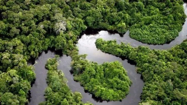 赵立坚 亚马逊丛林对地球有多重要？如果亚马逊丛林消失了后果会怎样？