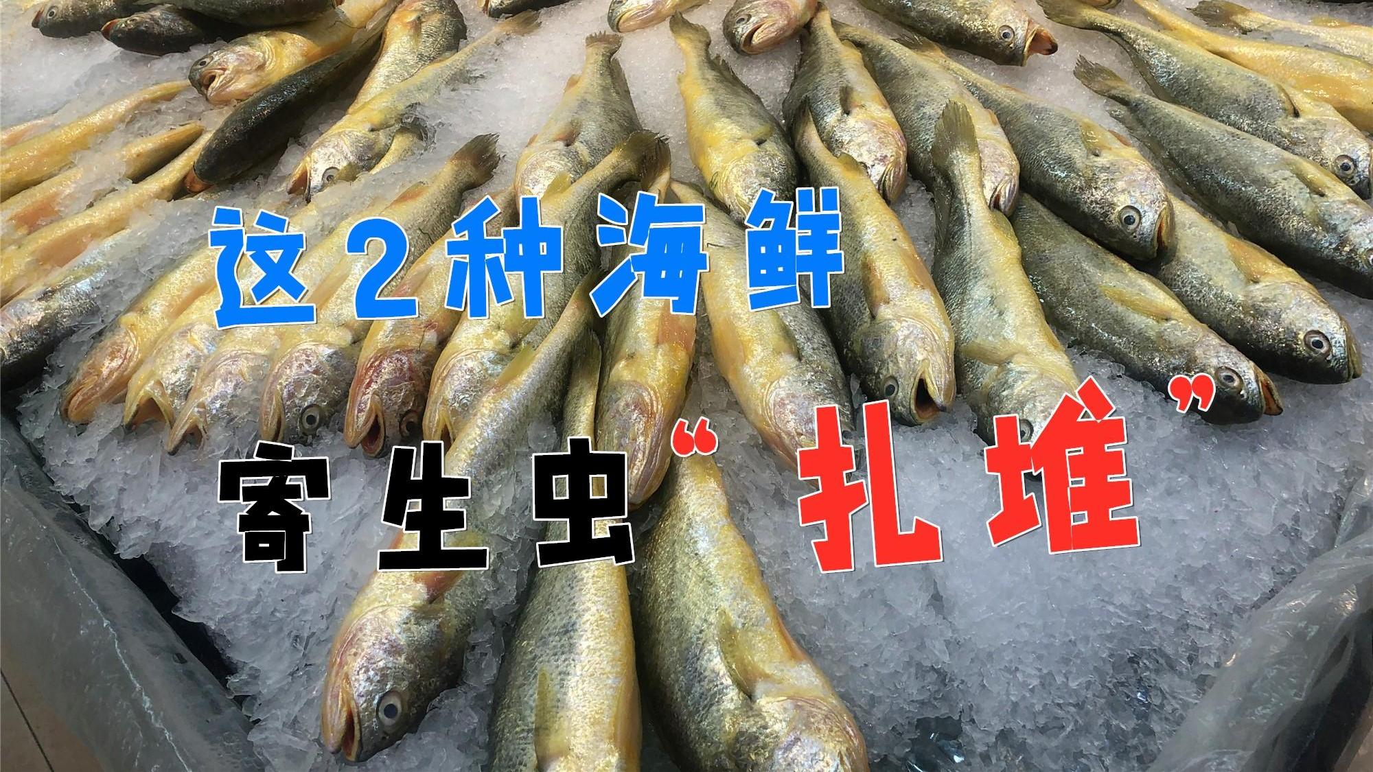 重金属|渔民从不吃的两种海鲜，寄生虫“扎堆”，重金属超标，难吃还贵