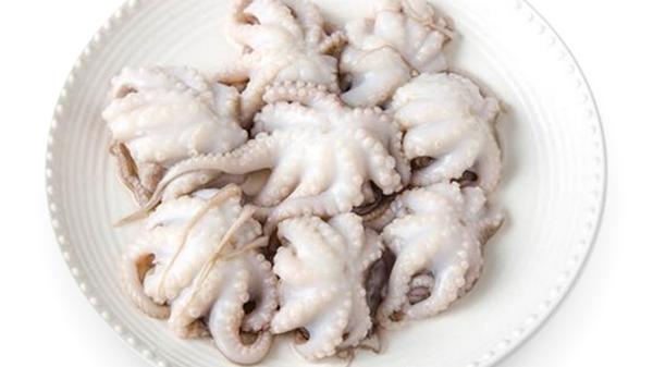 猪皮|八爪鱼、鱿鱼不同之处