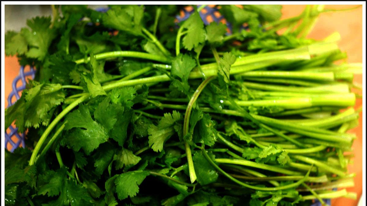 鸡胗|年轻人吃火锅“必点的”8种食材，看看你中不中招，不中我都吃了