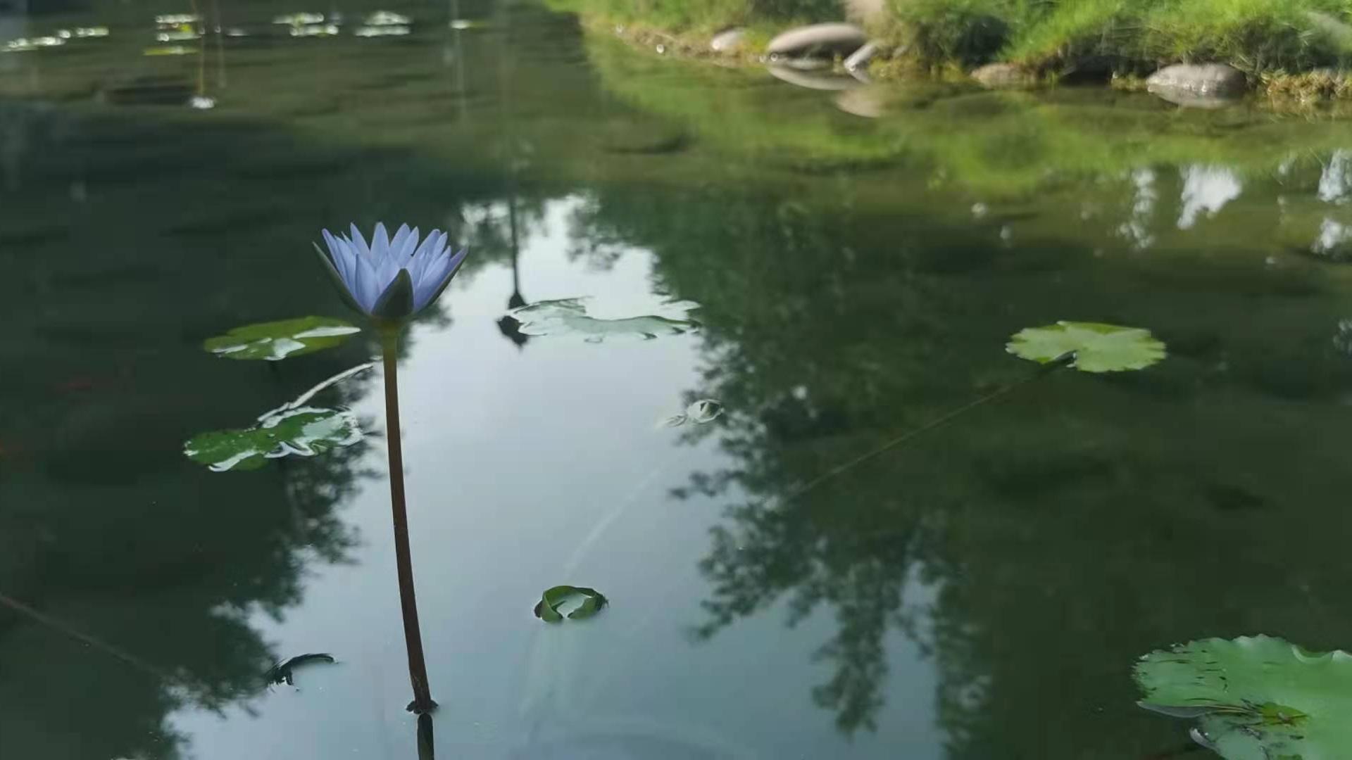 瑜峰|怎么避免三观不合而引发婚姻危机？