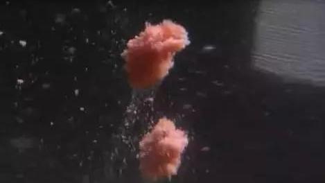 饵料|浓腥饵太招小鱼没用处？别被忽悠了，这3种情况下效果“起飞”！