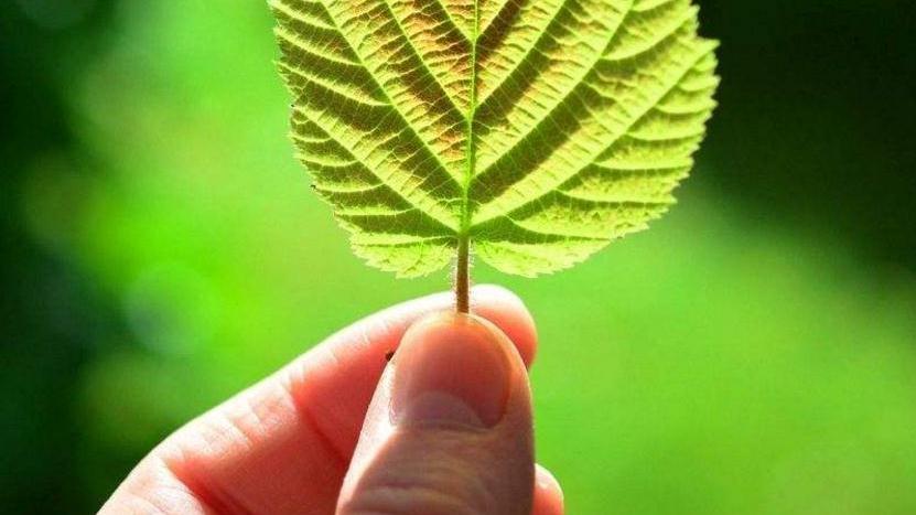 如风轻似云淡|年过五十，最好的生活是素与简