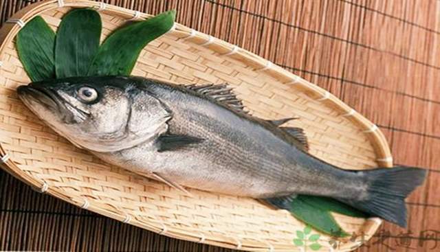 茄子|不加一滴水的砂锅鱼你吃过吗？30年老配方，肉质鲜嫩并且无腥味