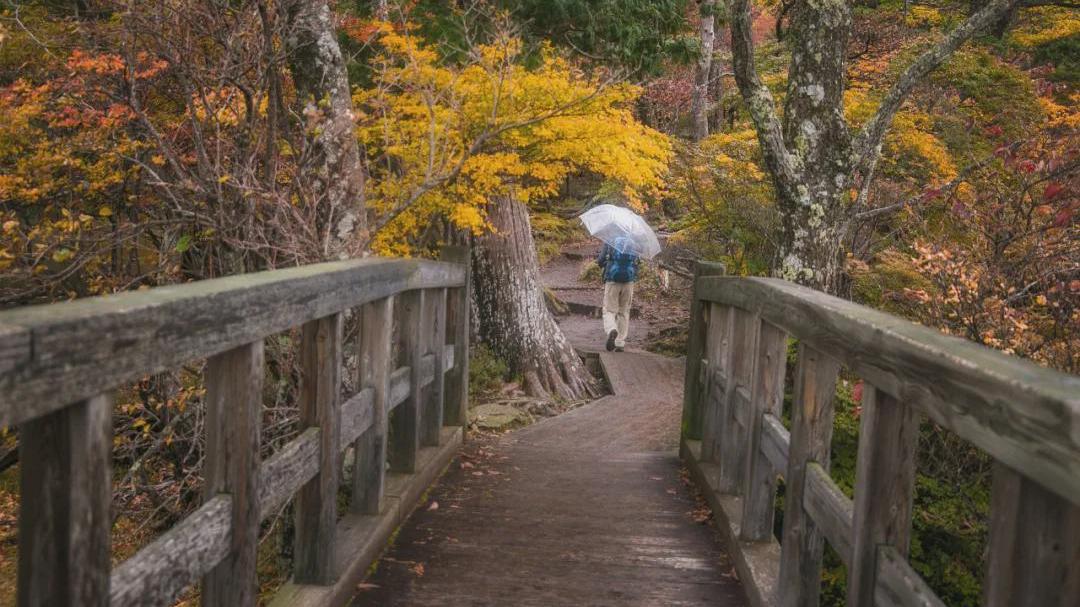 猫小姐Coco|守好这六条“路”，没有谁能阻挠你的幸福