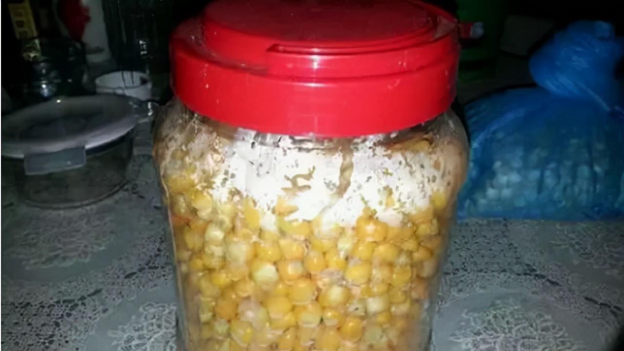 灌汤包|秋冬季野钓，窝料不妨试试这三种味道，效果都比腥味好