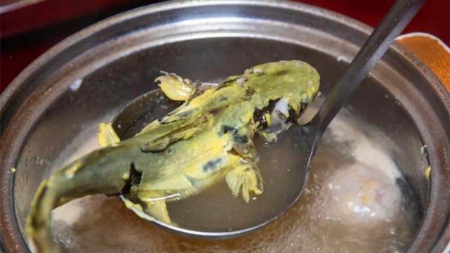 米糕|一条鱼引发关注！濒危鱼类芝麻剑，真的是被吃成“二级保护”吗