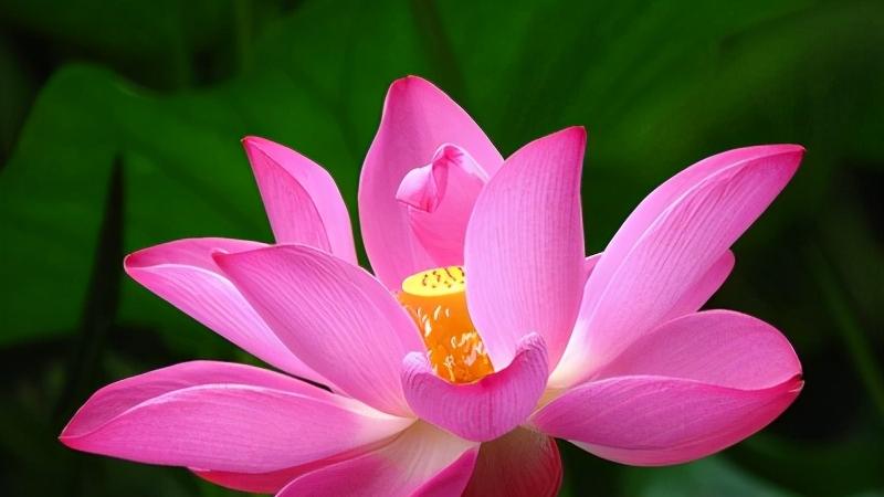 蜜桃心理|人到中年，越是不顺，越要远离身边这些亲戚