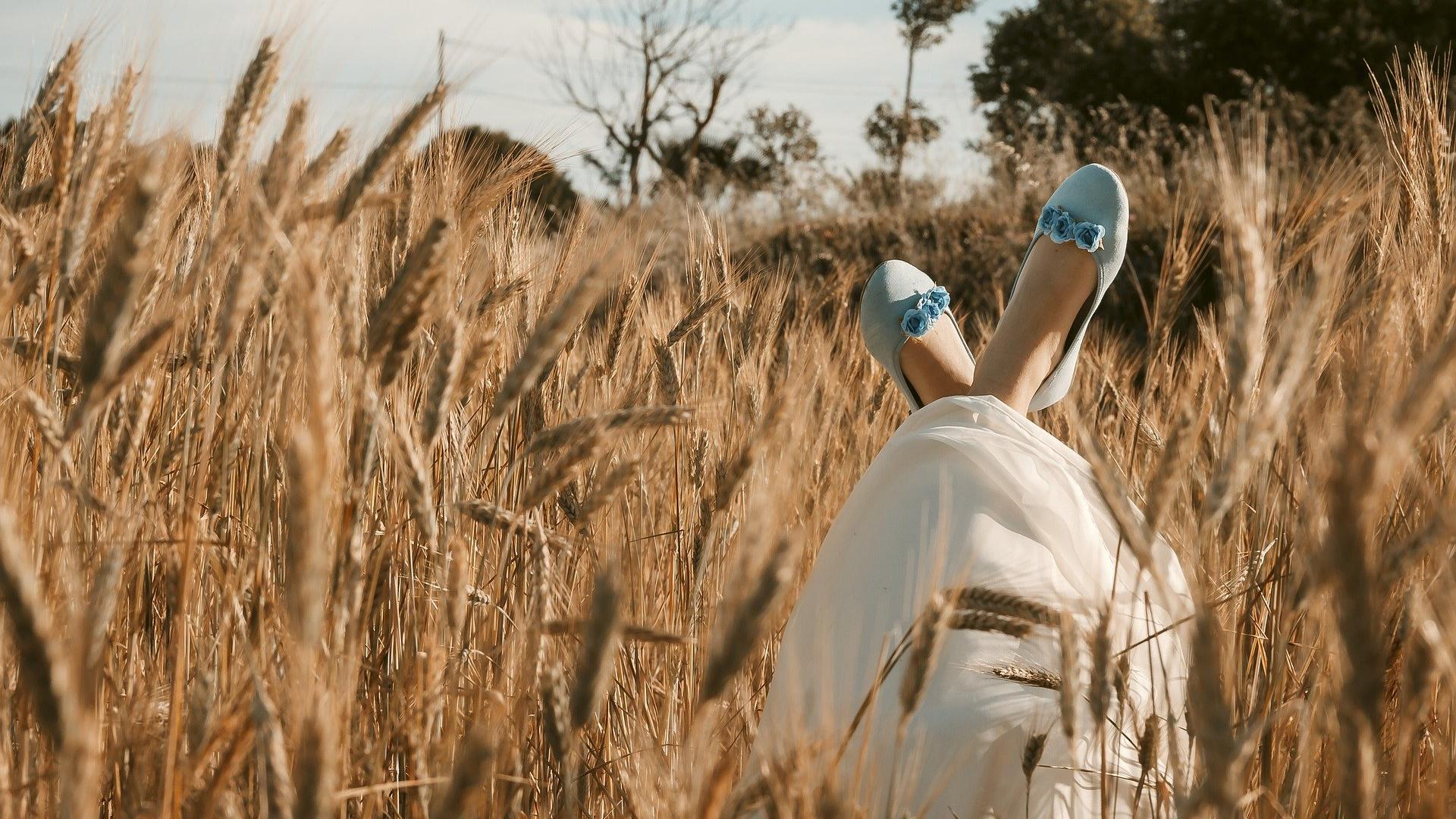 闲时翻书君|感悟白先勇写的“天长地久”，片刻即为永恒