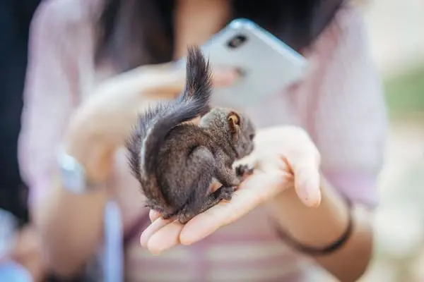 从规划设计入手，萌宠乐园投资把控不再是难题！