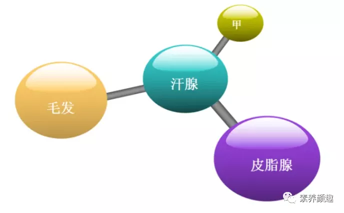 护肤品|有效护肤，要用“高级”手段