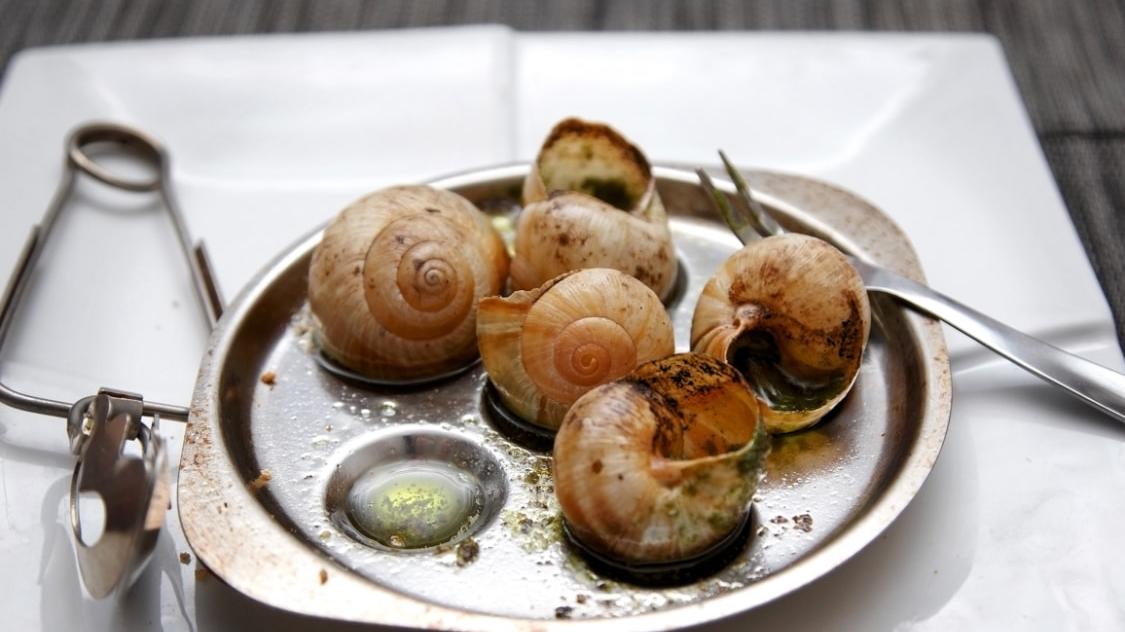 卤水|老外吃中国菜惊讶的发现是什么？外网民：竹子原来可以是一道菜