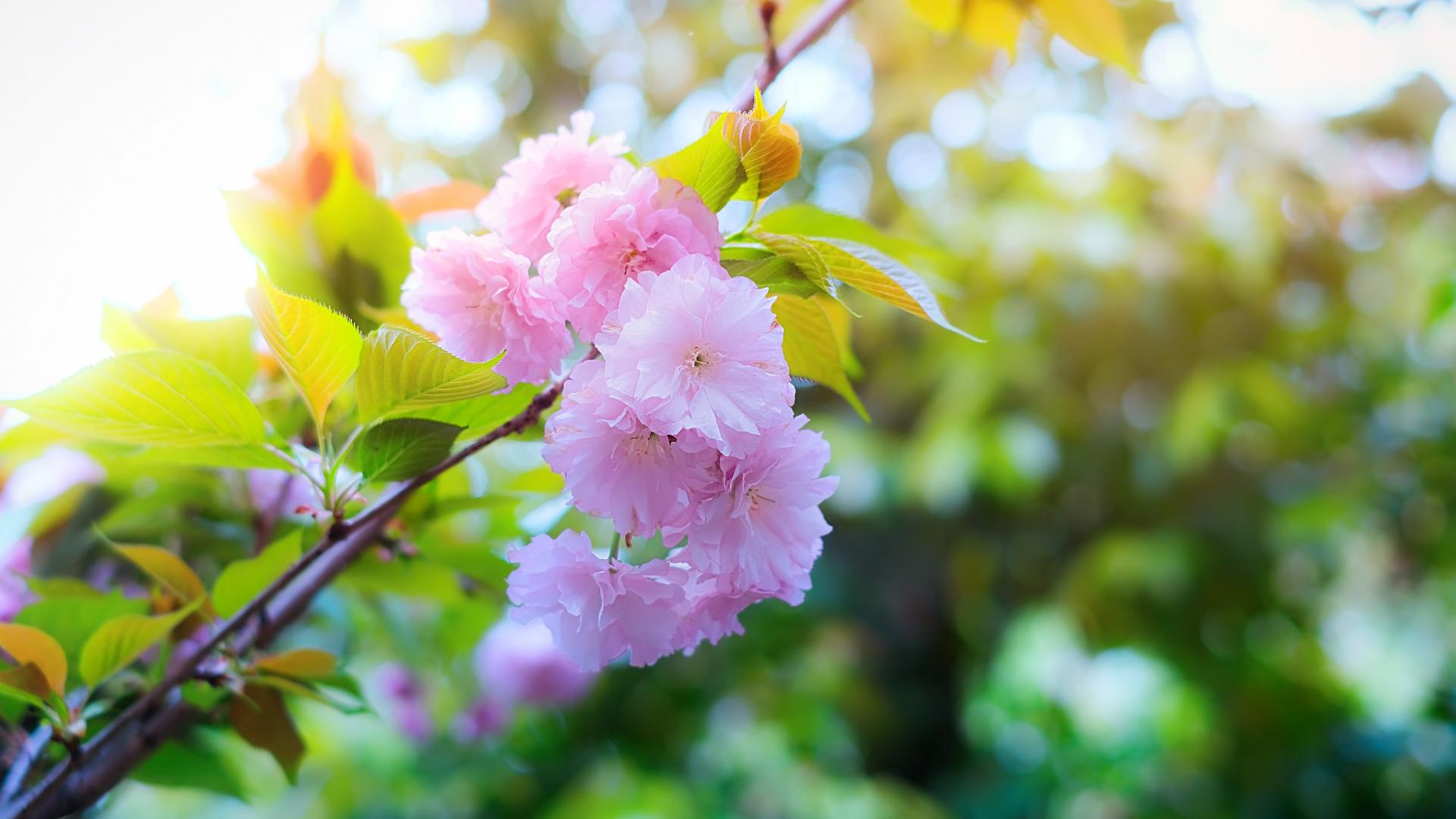 西厢有情 一个女人，骨子里是“穷”还是“富”，看三个方面