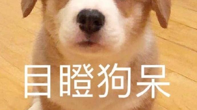 桉月|表情包：我就是最棒的