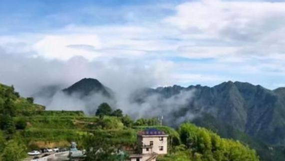 布达拉宫|低调的浙江省小村庄叫做小布达拉宫，在村头800米处有一条水沟