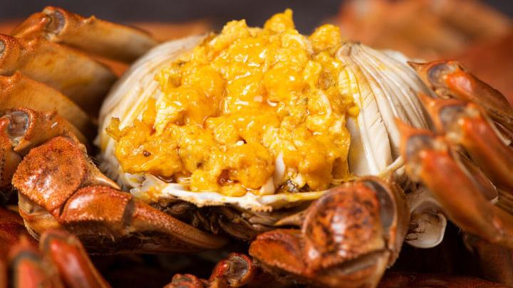 螃蟹|买螃蟹时，挑“青壳”还是“黄壳”？老渔民说：区别很大，买错难吃浪费钱