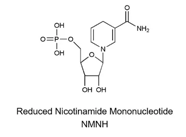 核苷酸 NMNH问世，辅酶前沿技术再刷新！