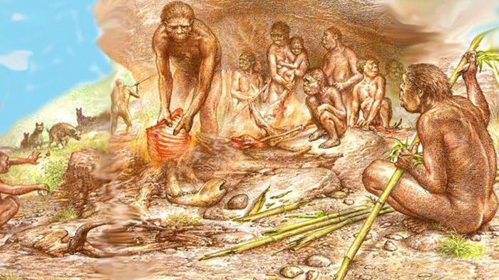 我们的远古祖先直立人，有哪些特征？