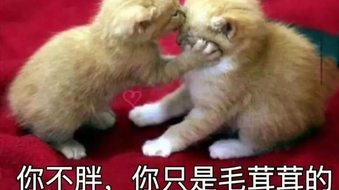 牡蛎|3种适合当晚餐的主食，低GI还抗饿，吃饱还能瘦，是减肥人的福音