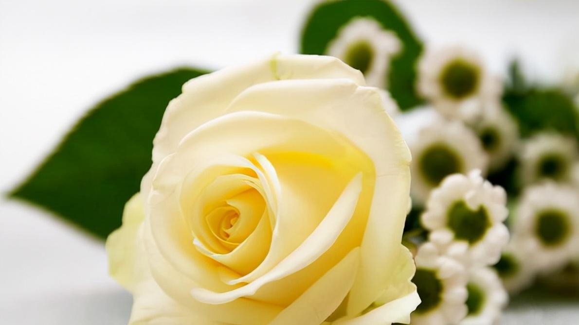 仲念念 男人在你面前?有三忍，不是不爱你，而是爱你入骨了