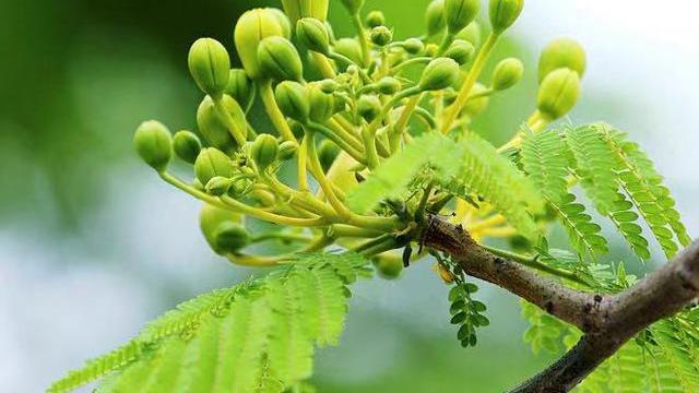 老伴儿风停夜泊聊情感|别在亲密关系里，太为难自己了，原因很简单