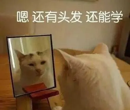 运动|读完这篇文章，真正明白减肥这件事！
