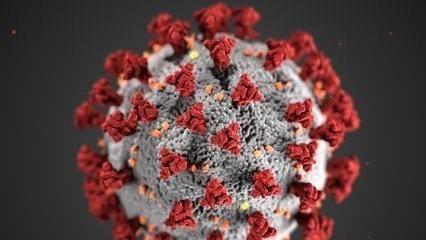 何沐青谈|好消息！好消息！新冠弱点已找到，灾难将结束