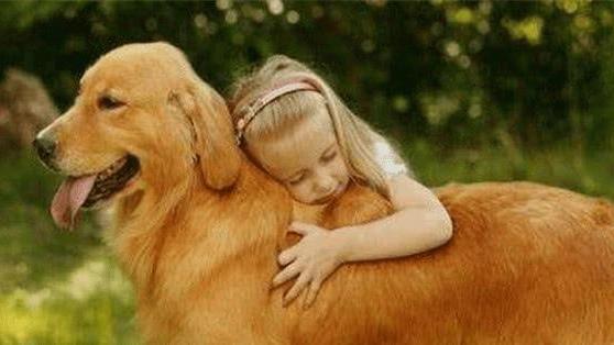 芷兰小时光|狗子就是这样把你从主人变成佣人的，希望你不会如此幸运