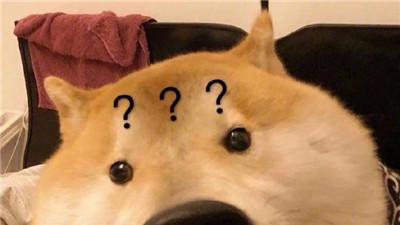 桉月|狗狗爆笑的聊天表情合集