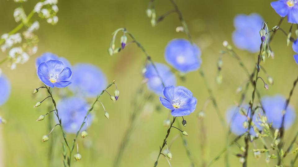 唯晨说|余生，请善待他们，特别是最后一个