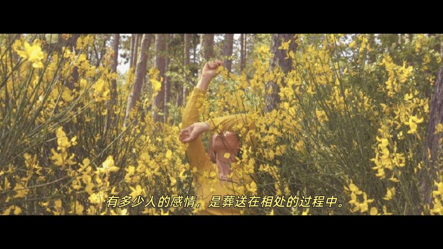 慢慢来的脚步|我也好想被坚定的爱一次啊