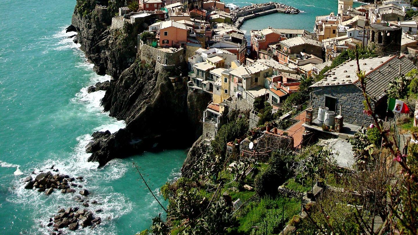 蔬菜|夏季水库钓草鱼（精髓）