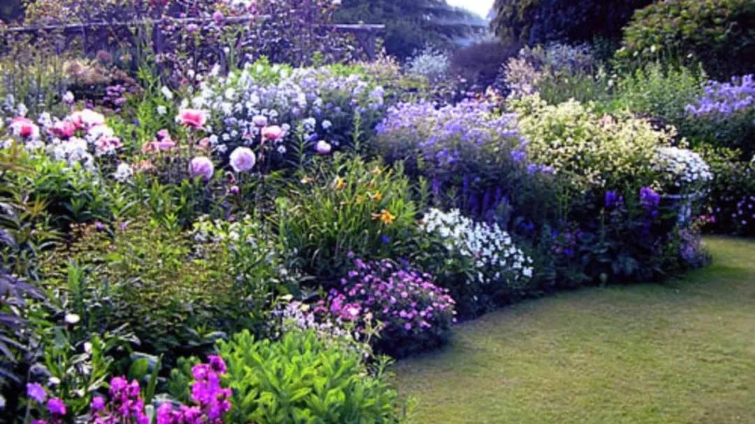 打造一块花境需要注意些什么？花境设计要求有哪些？