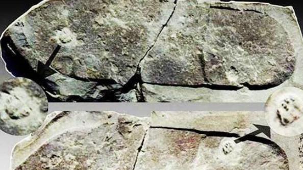 化石 三叶虫化石的脚印，20亿年前的核反应堆，远古文明真的存在吗？