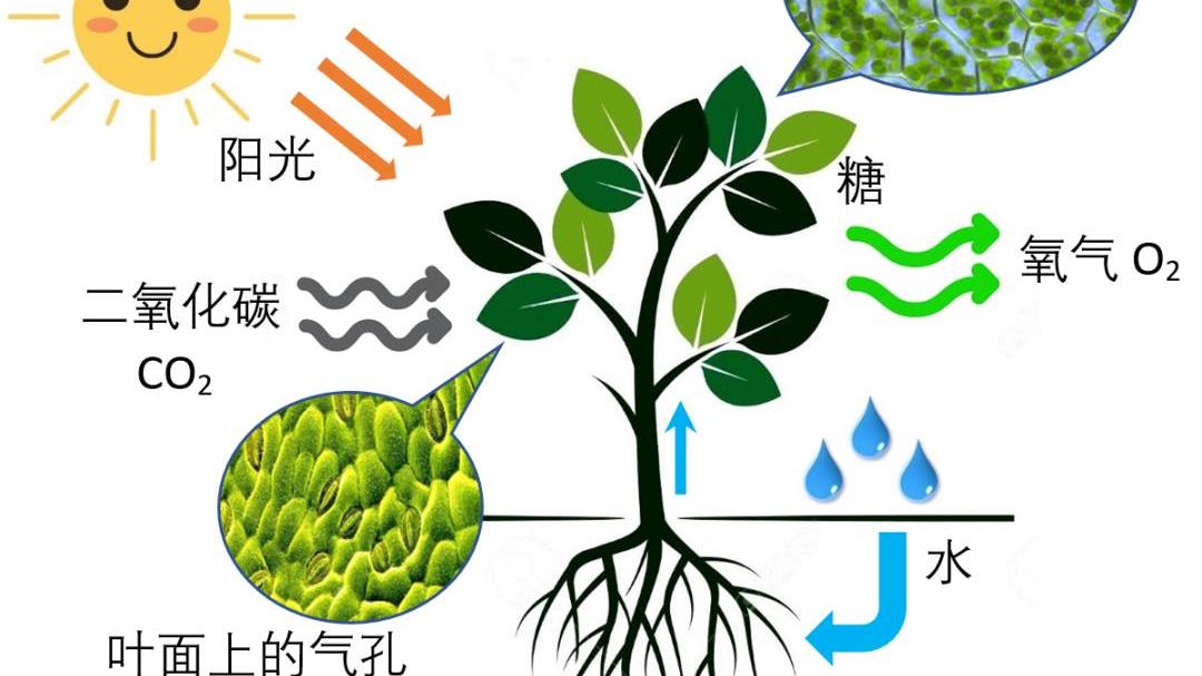 情微说 若是太阳“熄灭”了，地球上的人类还能生存多久？