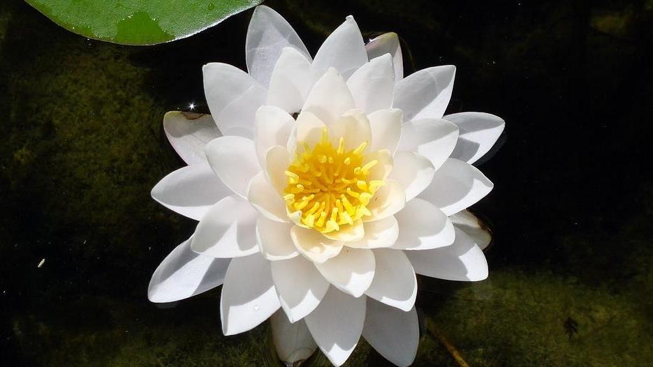 末小北|人生无常，活着最爽