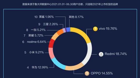 vivo|Vivo，上半年中国上市手机销量，排名第一