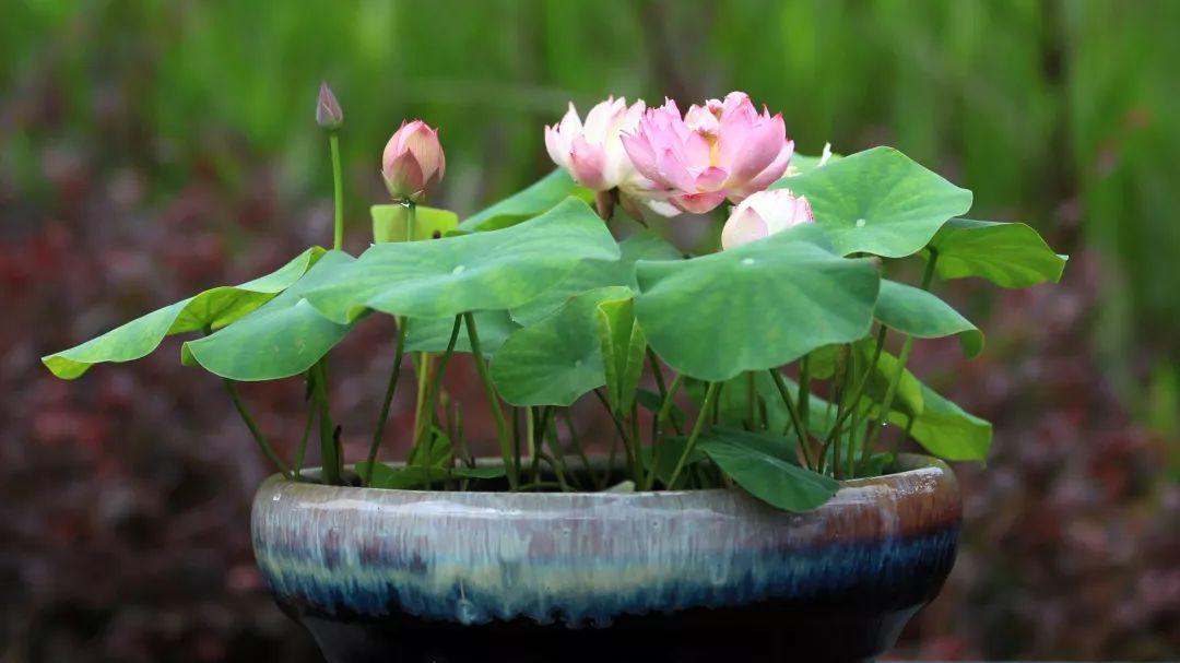 墨白情感|“心肠太好，诸多困扰”：人过六十，要对这几种人“无情”一点