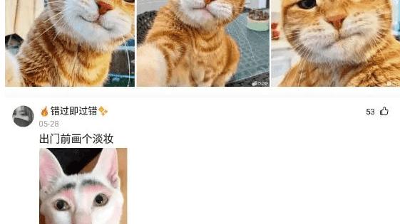 搞笑神回复|神回复：“都是女神了，还不知道人家结没结婚？”哈哈哈哈！